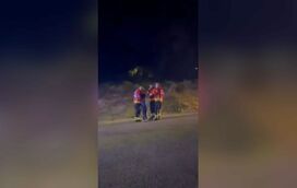 "Obrigado!"Criança abraça bombeiros em agradecimento pelo combate ao incêndio em Pampilhosa da Serra 