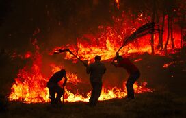 Emocionante: Criança abraça bombeiros em agradecimento pelo combate ao incêndio em Pampilhosa da Serra 