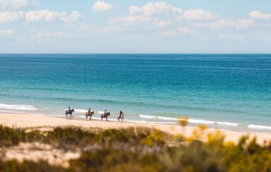 Comporta 
