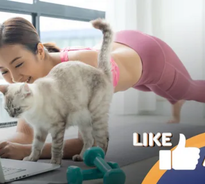 Missão verão 2025: estes pets não brincam com o exercício físico! 