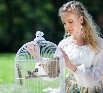 O calor do verão afeta também as aves, que ficam mais irrequietas. Saiba porquê aqui 