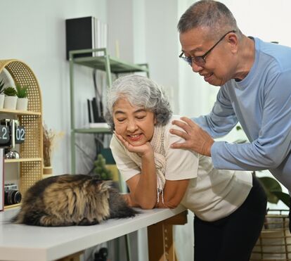 Animal magoado, dono preparado! Aprenda a aplicar primeiros socorros ao seu melhor amigo
