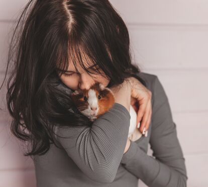 Atenção a quem viaja com animais! Decisão europeia expõe riscos para quem voa com animais de companhia