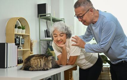 Casal sénior interage com o gato de estimação em casa