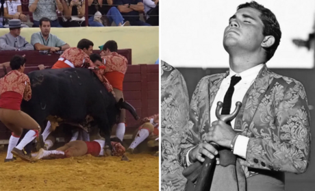 Rodrigo Guedes de Carvalho phản ứng trước cái chết của võ sĩ đấu bò trẻ tuổi: "Ăn mừng bằng tiếng cười và sự khát máu là điều đáng tiếc" - Tin Quốc gia - TIN NÓNG!