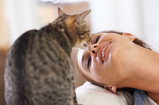 Mulher sorri enquanto um gato lhe toca no nariz