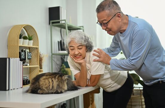 Casal sénior interage com o gato de estimação em casa