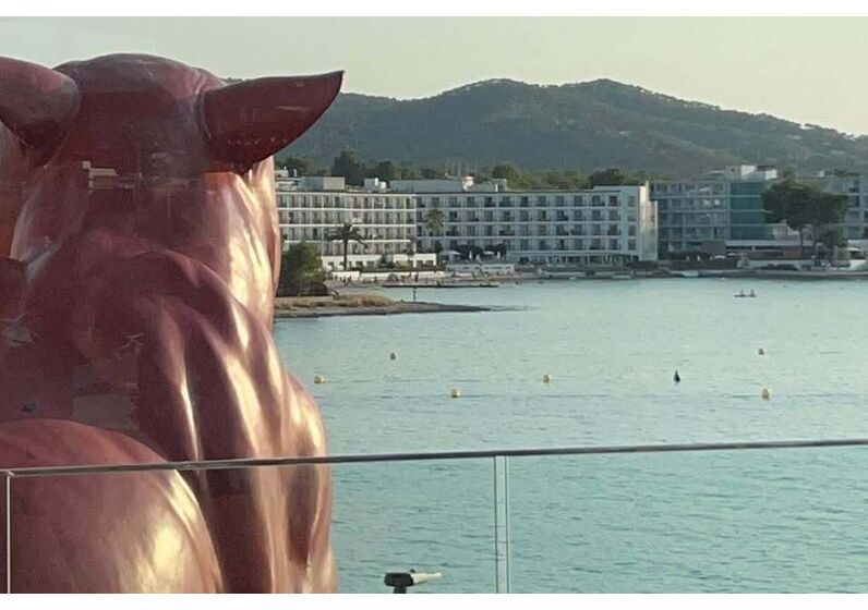 Vista de um terraço para o mar em Ibiza