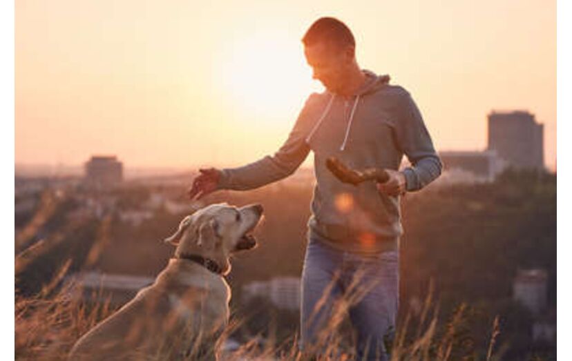 Homem e cão aproveitam o pôr do sol na cidade