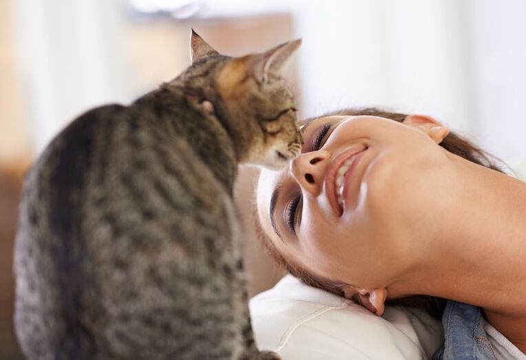 Mulher sorri enquanto um gato lhe toca no nariz