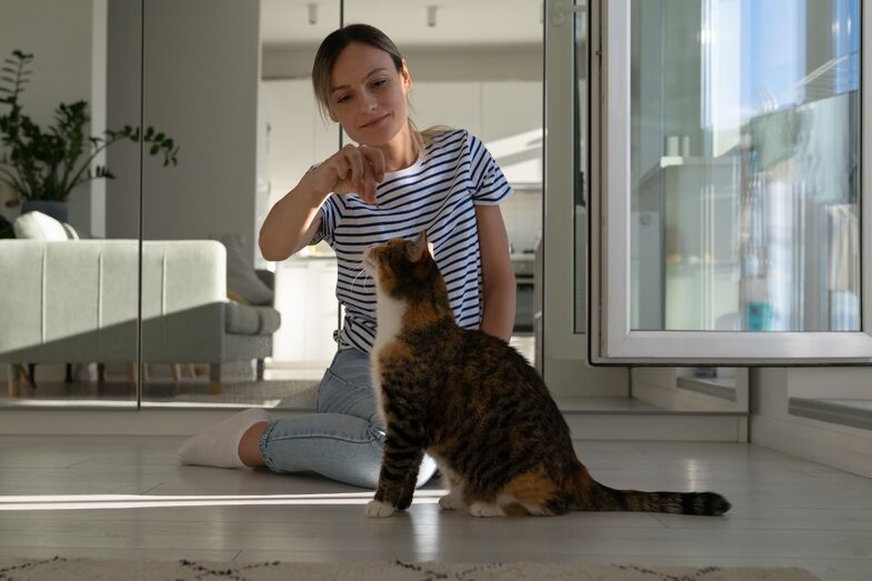 Mulher passa tempo com o seu gato em casa