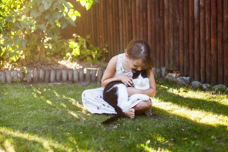 Menina abraça o seu gato num jardim ensolarado