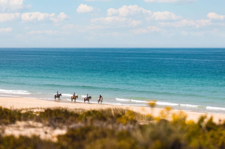 Comporta 