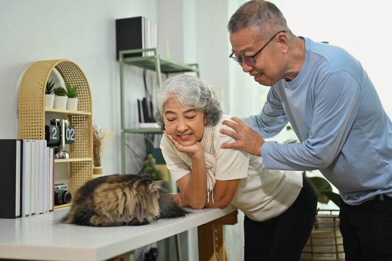 Casal sénior interage com o gato de estimação em casa