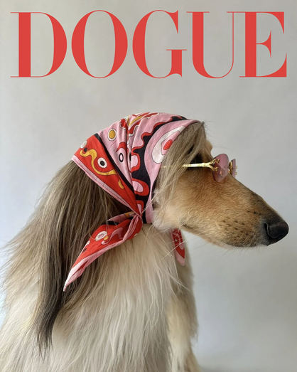Tango vence competição Dogue 2025 com Lola e Rupurt