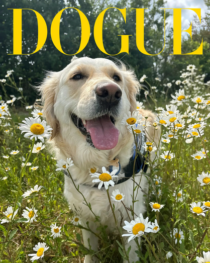 Tango vence competição Dogue 2025 com Lola e Rupurt no pódio