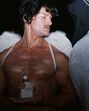 Reabertura do Studio 54 reúne celebridades e revive noites douradas dos anos 70
