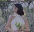 Selena Gomez casa com Benny Blanco