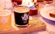 Cervejas artesanais da Dois Corvos celebram uma década em Marvila