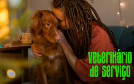 O seu animal sofre de ansiedade? Saiba como identificar os sinais e ajudá-lo a superar