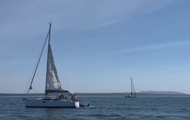 Orcas afundam barco ao largo de Cascais. Segunda embarcação à deriva na Fonte da Telha