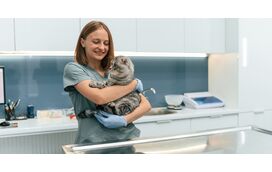 Pelo fim da “discriminação fiscal” entre animais de companhia e de produção, veterinários querem baixar o IVA para 6%