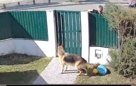 Frederica Lima mostra vídeo de Nuno Homem de Sá a rondar a sua casa e promete revelar momentos mais graves