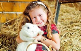 No Dia Internacional do Coelho vamos descobrir 7 curiosidades sobre estes animais fofinhos
