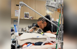 Coração apertado: Lewis Hamilton cancela tudo para estar ao lado do cão, em coma 