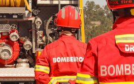 O evento que é uma ode aos bombeiros num dos jardins mais bonitos de Lisboa