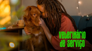 Cão com ansiedade em Veterinário de Serviço 