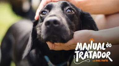 "Manual do Tratador" com Joel Ponte aborda ansiedade por separação em animais.
