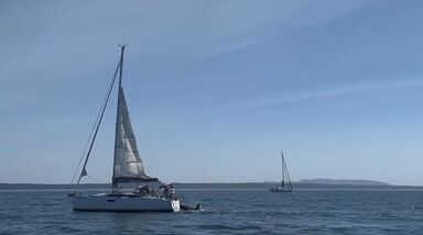 Orcas afundam barco ao largo de Cascais. Segunda embarcação à deriva na Fonte da Telha