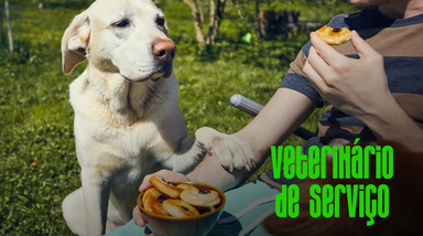 Veterinário de Serviço debate ração e alimentação natural com Dra. Cláudia Santos