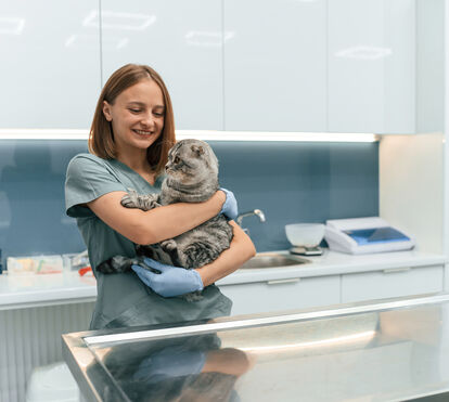 Pelo fim da “discriminação fiscal” entre animais de companhia e de produção, veterinários querem baixar o IVA para 6%