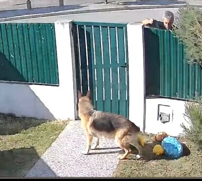 Frederica Lima mostra vídeo de Nuno Homem de Sá a rondar a sua casa e promete revelar momentos mais graves