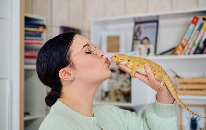 Mulher beija o seu dragão barbudo, um réptil ideal para donos de primeira viagem