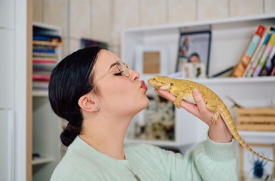 Mulher beija o seu dragão barbudo, um réptil ideal para donos de primeira viagem
