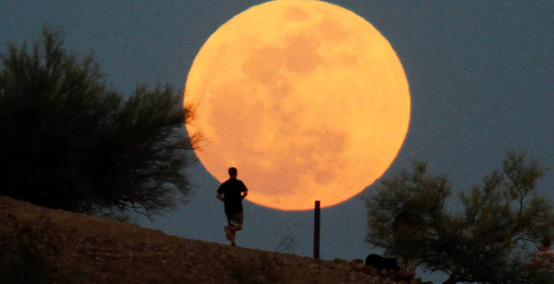 Anote a data! A primeira super-lua do ano está já aí à porta