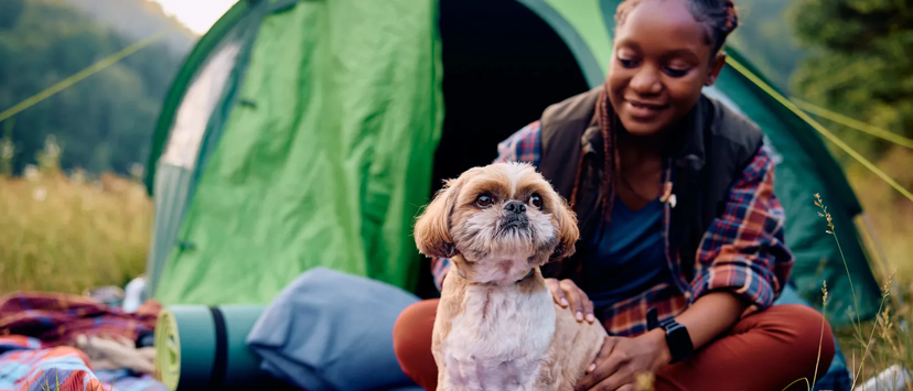 Acampar com um cão fortalece a ligação entre tutor e patudo