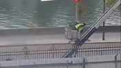 Assalto no Louvre: Ladrões roubam joias da coroa francesa