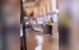 Vídeo capta um dos ladrões que assaltou Museu do Louvre a partir vitrine em plena luz do dia