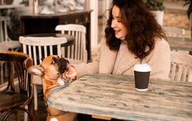 Há um novo espaço 'pet-friendly' em Leiria. Conheça o Monge Pet Café