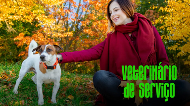 Veterinário de Serviço explica cuidados a ter com patudos no outono, com a Dra. Cláudia Santos.
