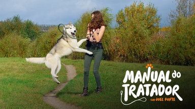 Manual do tratador: cão salta durante passeio