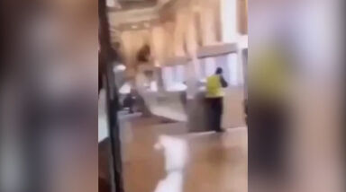 Vídeo capta um dos ladrões que assaltou Museu do Louvre a partir vitrine em plena luz do dia