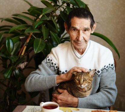 Os animais são uma companhia de ouro para os idosos. Saiba como escolher o amigo certo para uma pessoa na terceira idade
