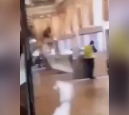 Vídeo capta um dos ladrões que assaltou Museu do Louvre a partir vitrine em plena luz do dia