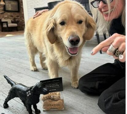 Um herdeiro milionário! Diane Keaton deixa 5 milhões de dólares ao companheiro que nunca a abandonou, o cão Reggie