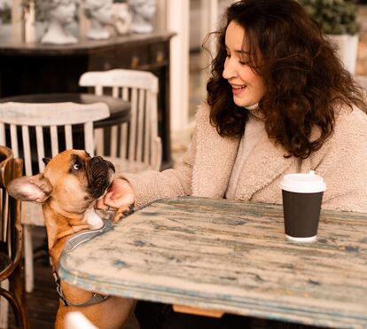 Há um novo espaço 'pet-friendly' em Leiria. Conheça o Monge Pet Café